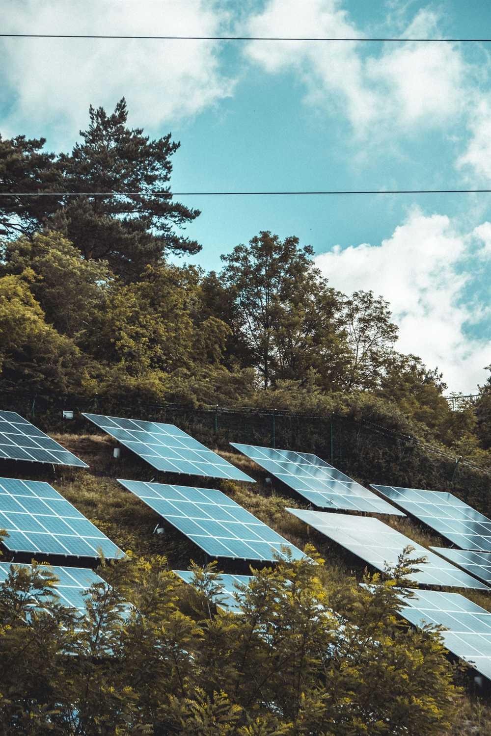 Painéis solares instalados em encosta cercada por vegetação